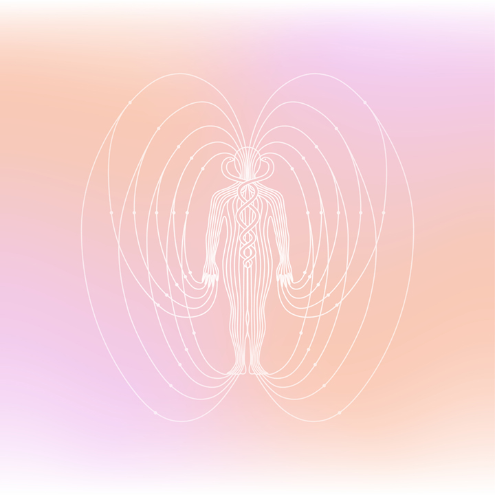 Human Biomagnetic Field